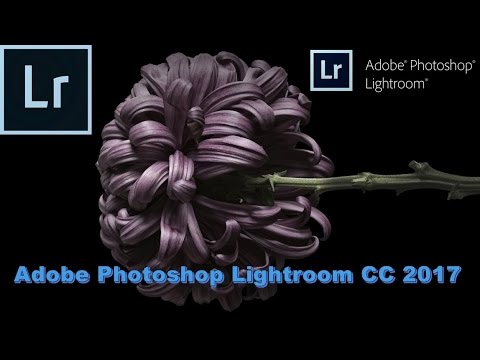 Spolszczenie Adobe Photoshop Lightroom 6 Youtube